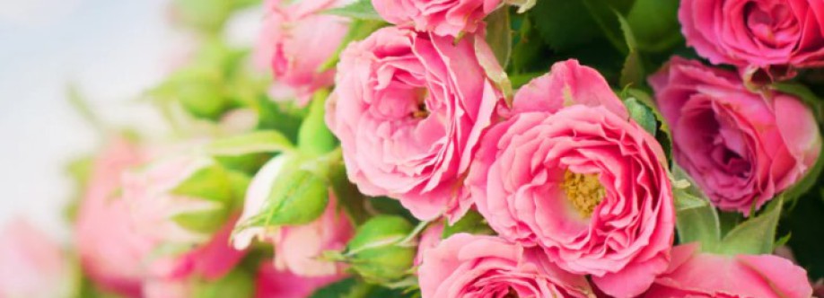 starflorist