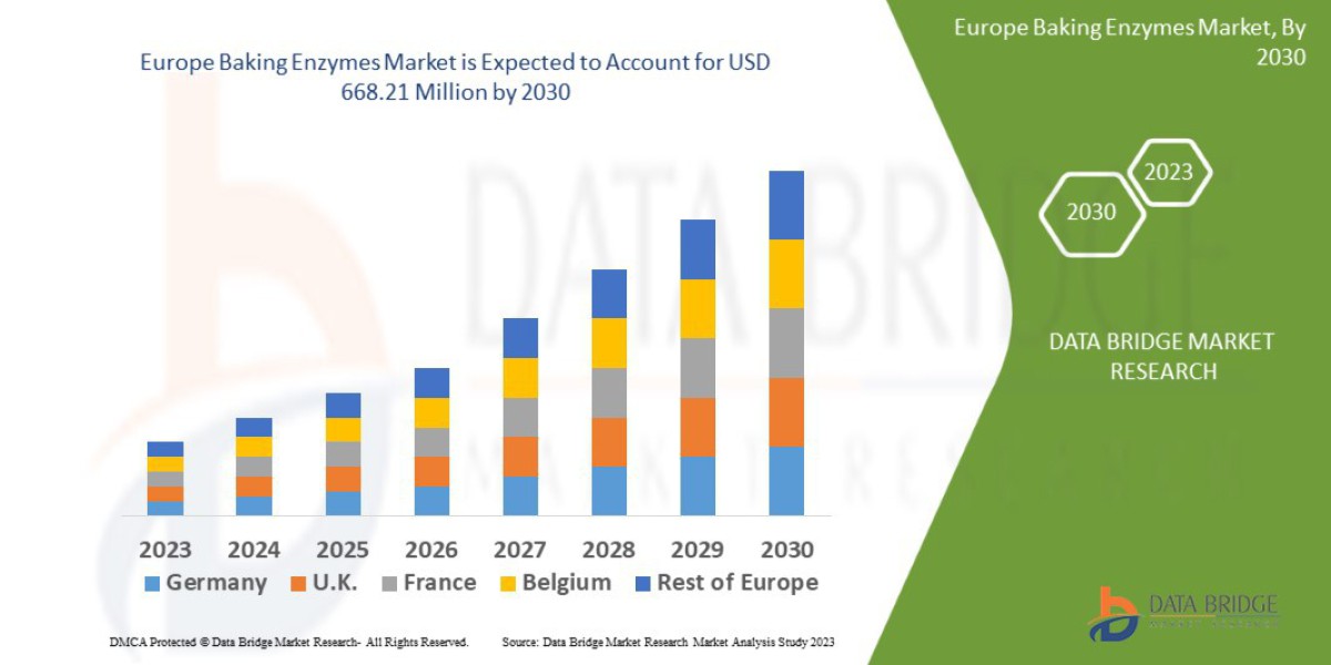 Europe Baking Enzymes Market Grows with Rising Clean Label and Functional Bakery Trends