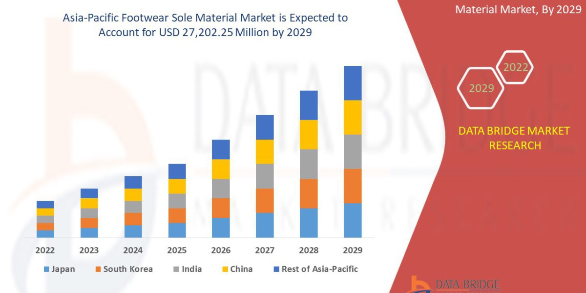 Asia-Pacific Footwear Sole Materials Market Trends, Insights and Future Outlook 2024 –2031