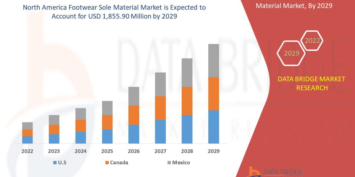 North America Footwear Sole Materials Market Size, Share, and Growth Opportunities 2024 –2031