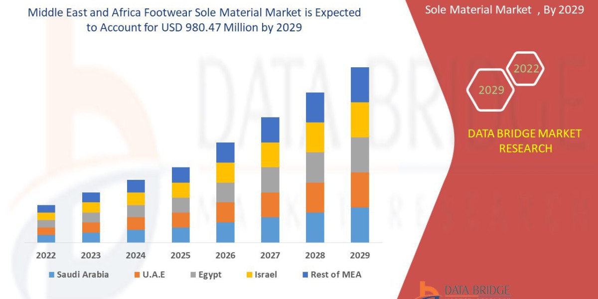 Middle East and Africa Footwear sole materials Market Report 2024 –2031: Key Trends and Projections