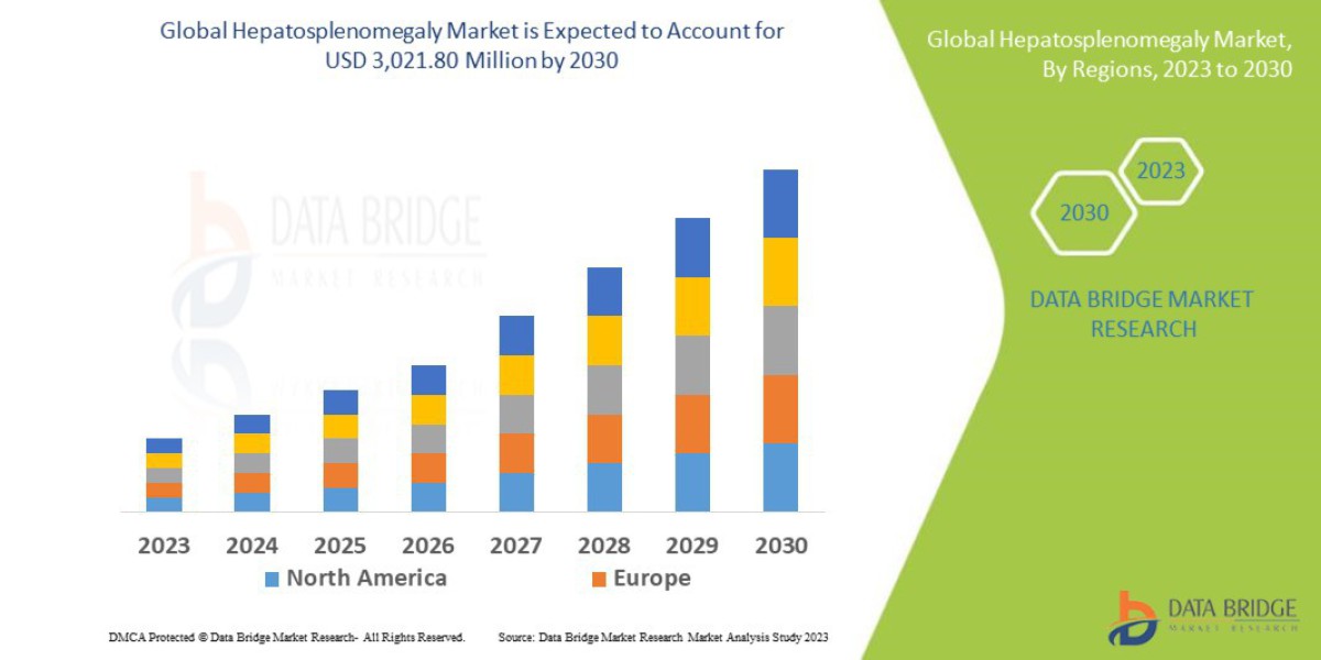 Hepatosplenomegaly Global  Market: Dynamics and Insights Period 2025 - 2032