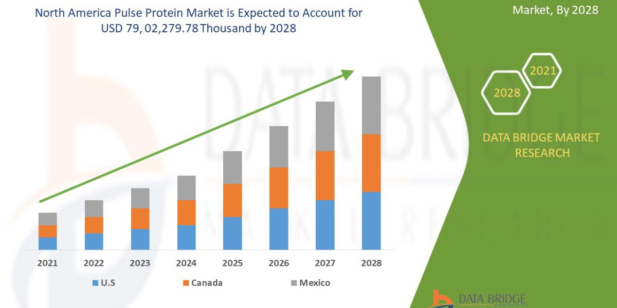 North America Pulse Protein Market Size, Demand, Growth and Opportunity Analysis