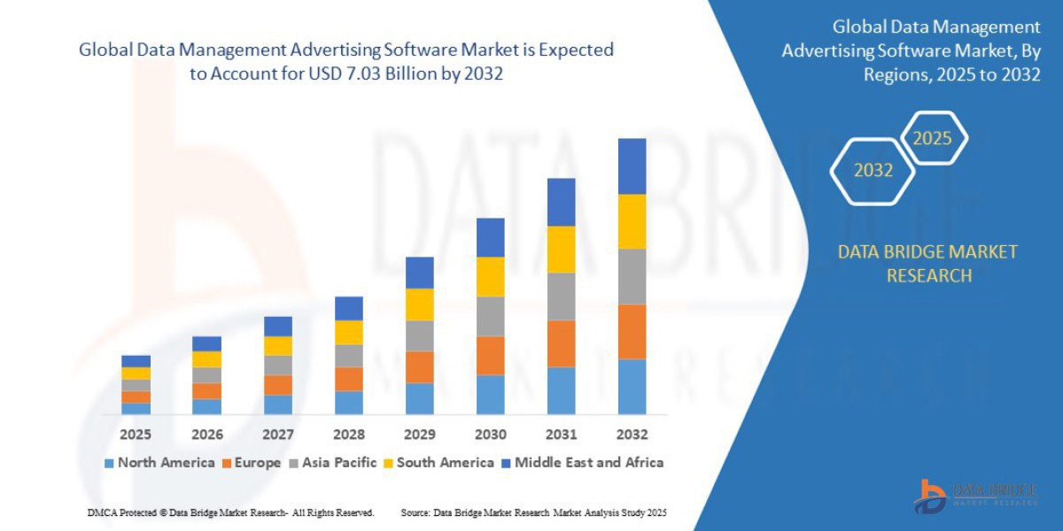 Data Management Advertising Software Market Value with Status and Analysis 2032