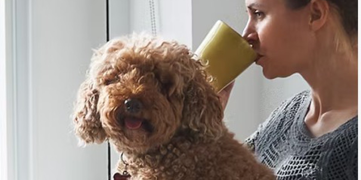 Perth’s Top Accessibility Innovators: Modify Home Modifications’ Success