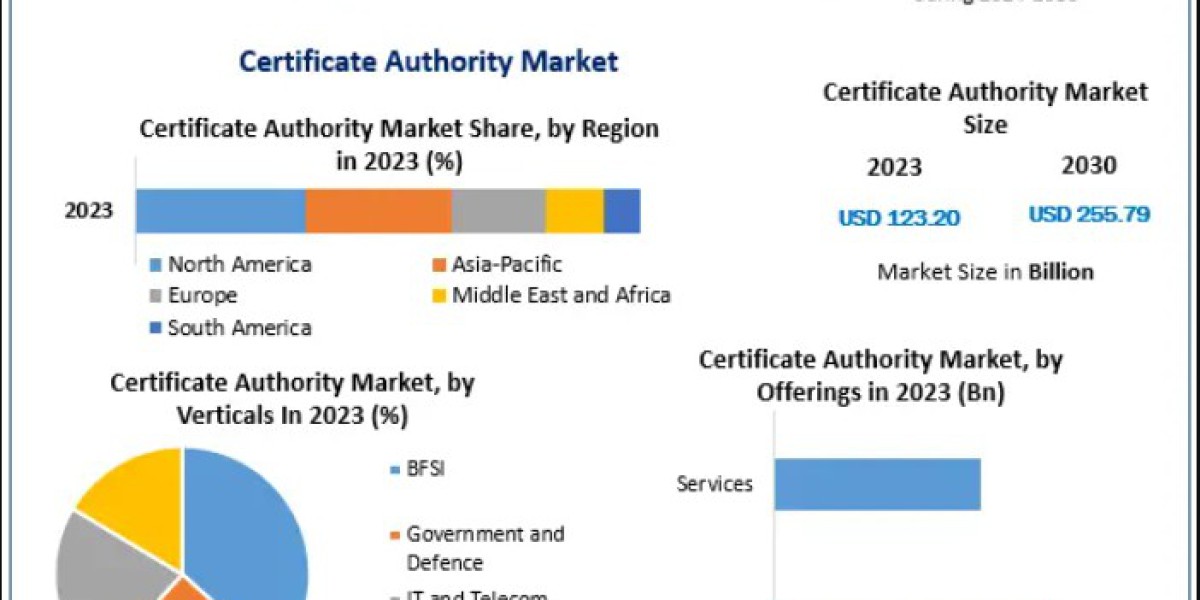 Certificate Authority Market Forecast Shows Strong Expansion Through 2030