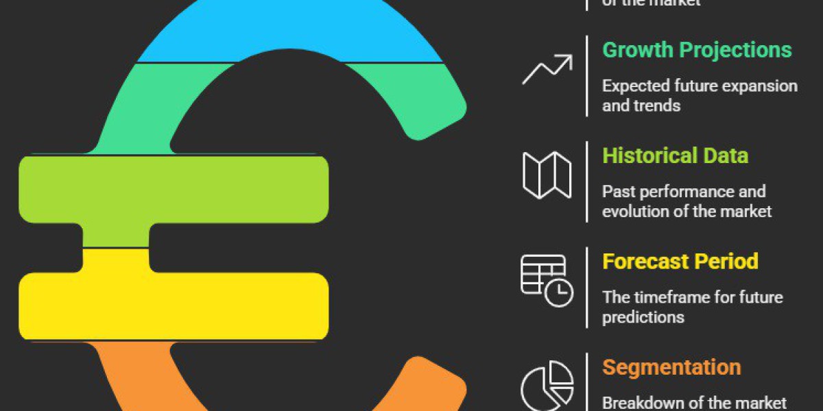Aircraft Navigation Software Market Overview: Market Size, Segmentation, and Growth Outlook