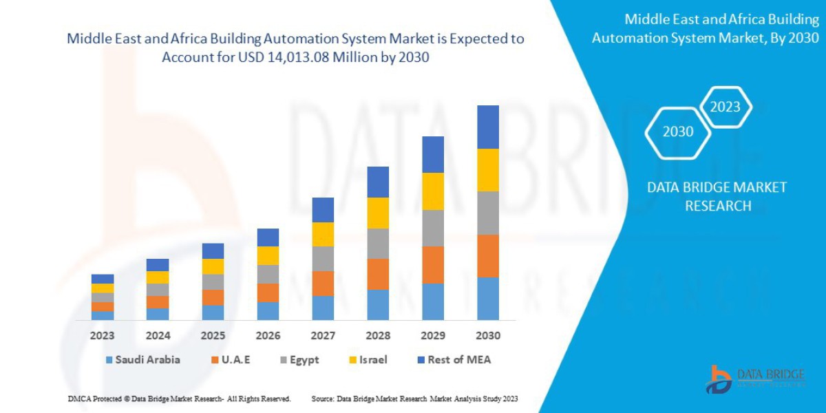 Why Is the Middle East and Africa Building Automation System Market Expanding So Rapidly?