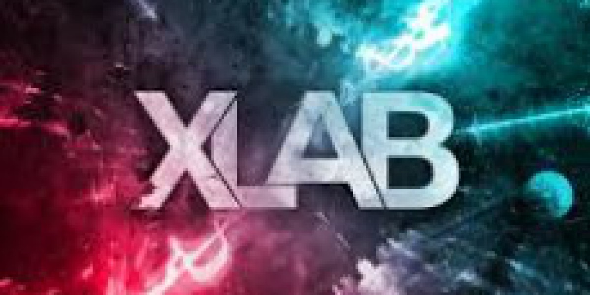 Xlabau: Innovative Software for Business Growth