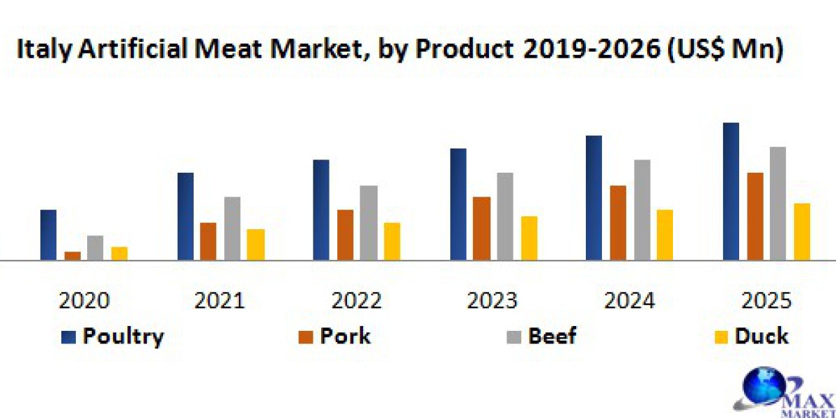 Italy Artificial Meat Market Forecast Insights: Industry Size and Revenue Analysis