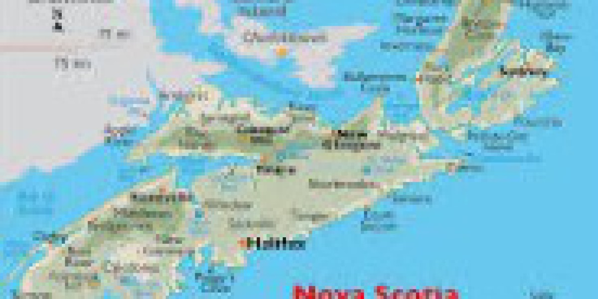 The Role of Adaptability in Modern Companies