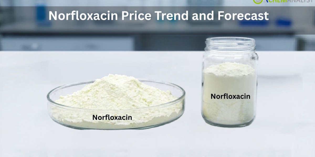 Norfloxacin Prices: Global Market Trends, Chart, Regional Insights, and Forecast