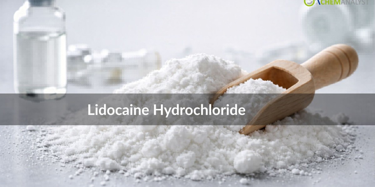 Lidocaine Hydrochloride Price: Global Market Trends, Regional Analysis, and Forecast