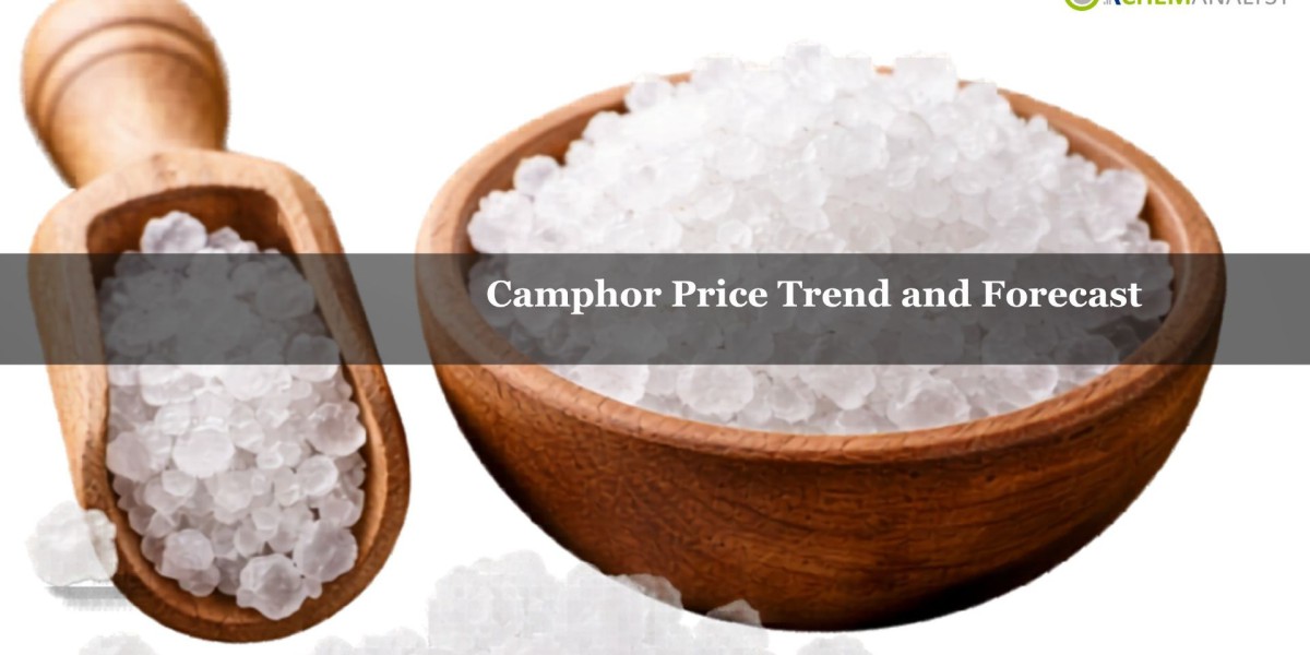 Camphor Prices 2026: Chart, News, Trend, Demand and Forecast