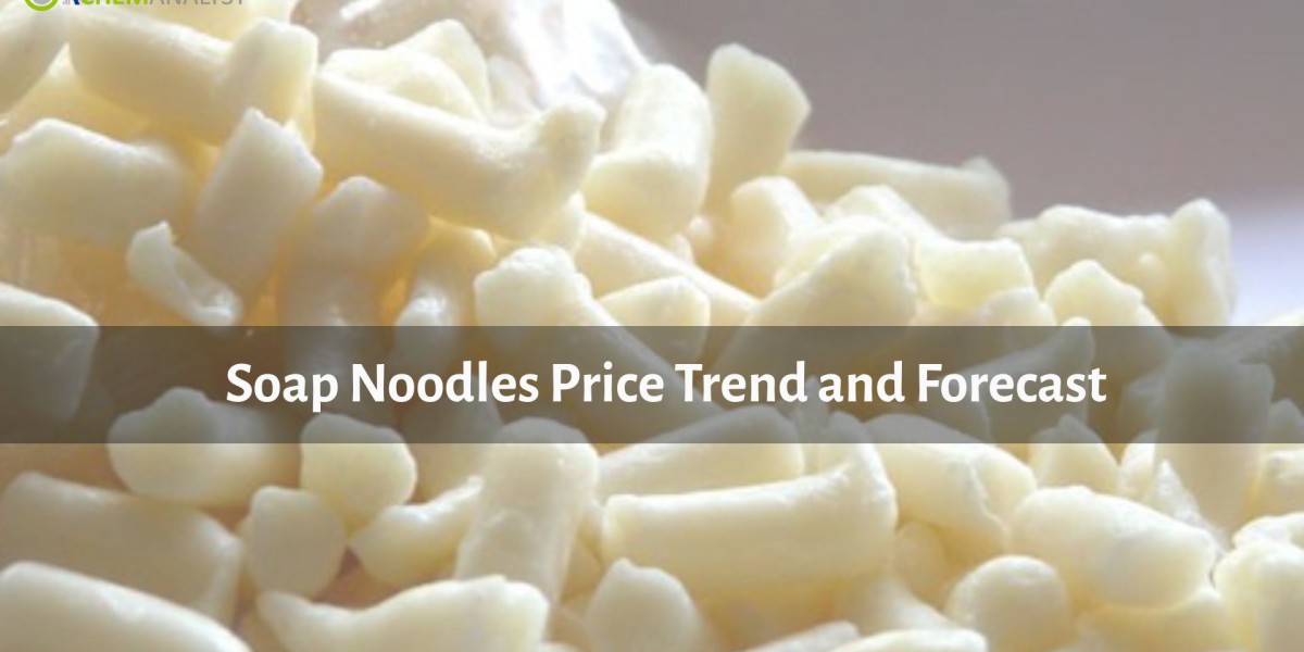 Soap Noodles Prices Q1 2026: Global Trends, Chart, News and Demand