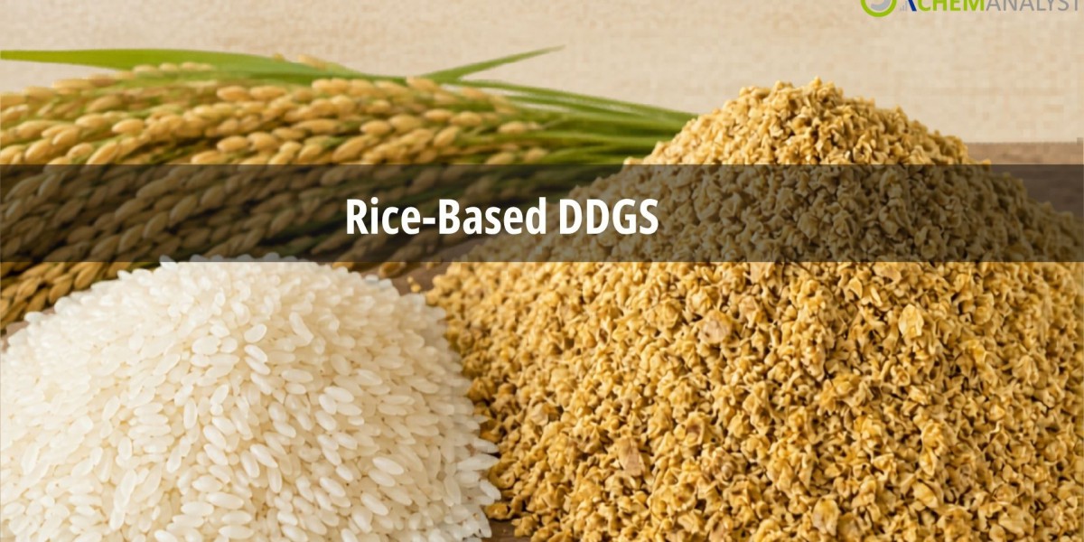 Rice-Based DDGS Prices Q1 2026: Global Trends, Chart and Forecast