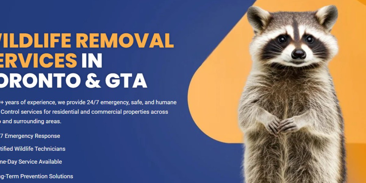 Reliable Wildlife Removal Services for Year-Round Protection