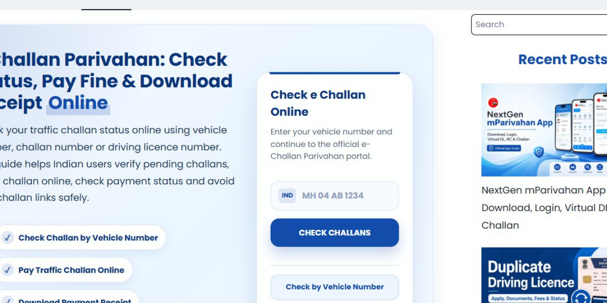 Fancy Number Allocation: A Complete Guide to Choosing the Perfect Number