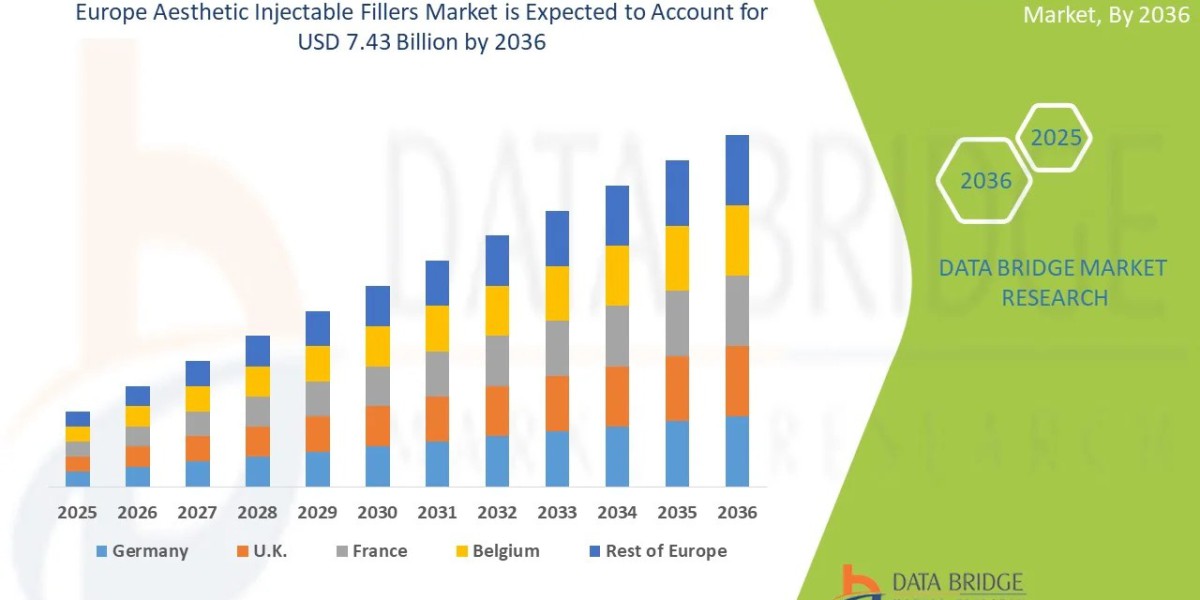 Europe Aesthetic Injectable Fillers Market Size Forecast and Segment Analysis
