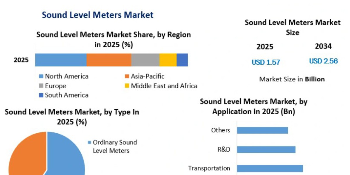 Sound Level Meters Market Forecast: Strategic Insights into Global Market Growth